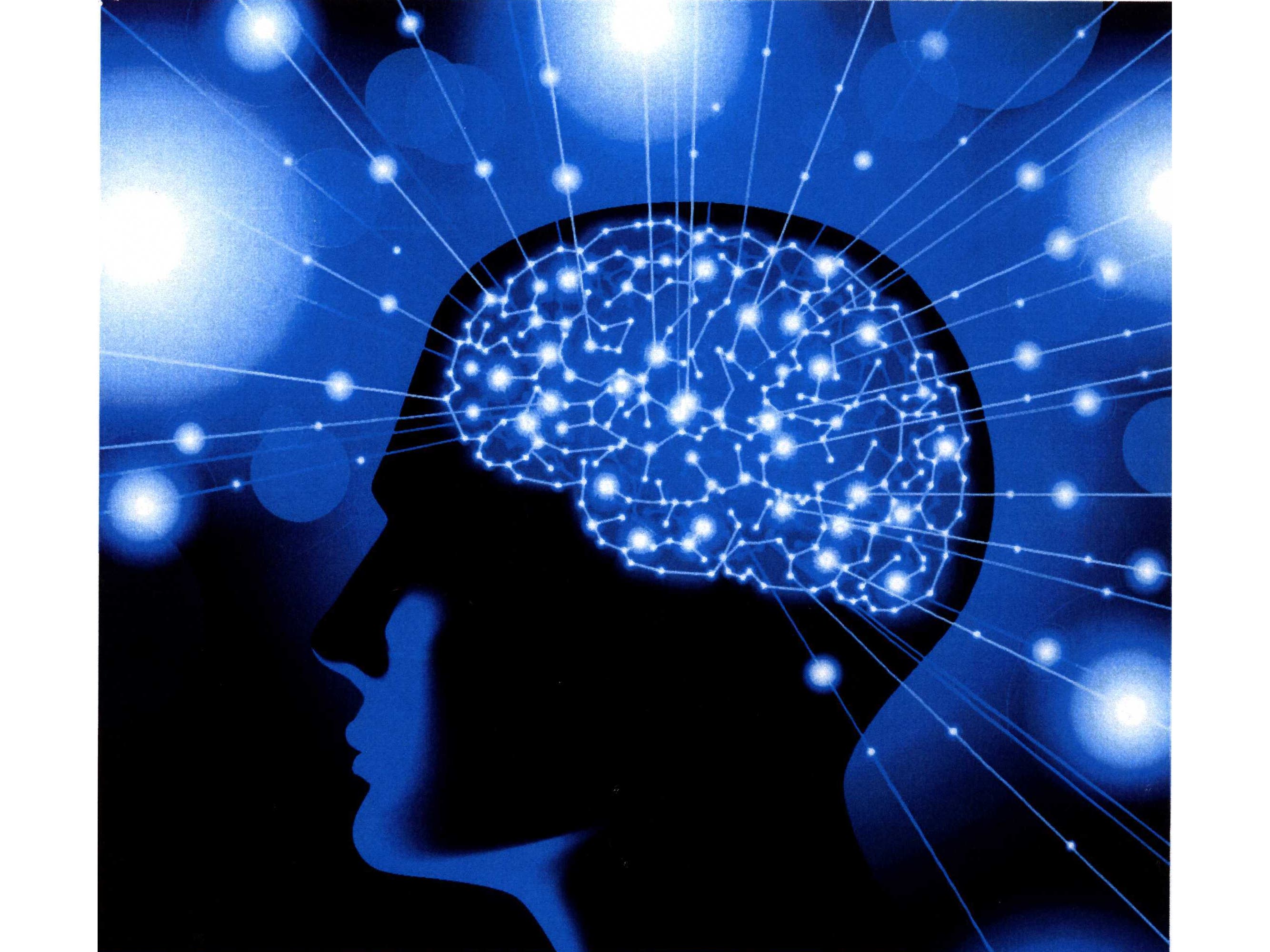 Tips to Optimize Brain Health with Dr. Wendy Hurwitz