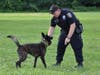K9 Murphy enjoys some outdoor play time with his handler Officer Stephen Plum.