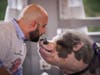 Marc Farzetta, sports-radio personality and host of the Farzy Show podcast, was the event emcee and joined in the fun by kissing Raines at TruMark Financial’s Feed-Or-Kiss-A-Pig Financial Literacy Fundraiser. The event raised more than $20,000.