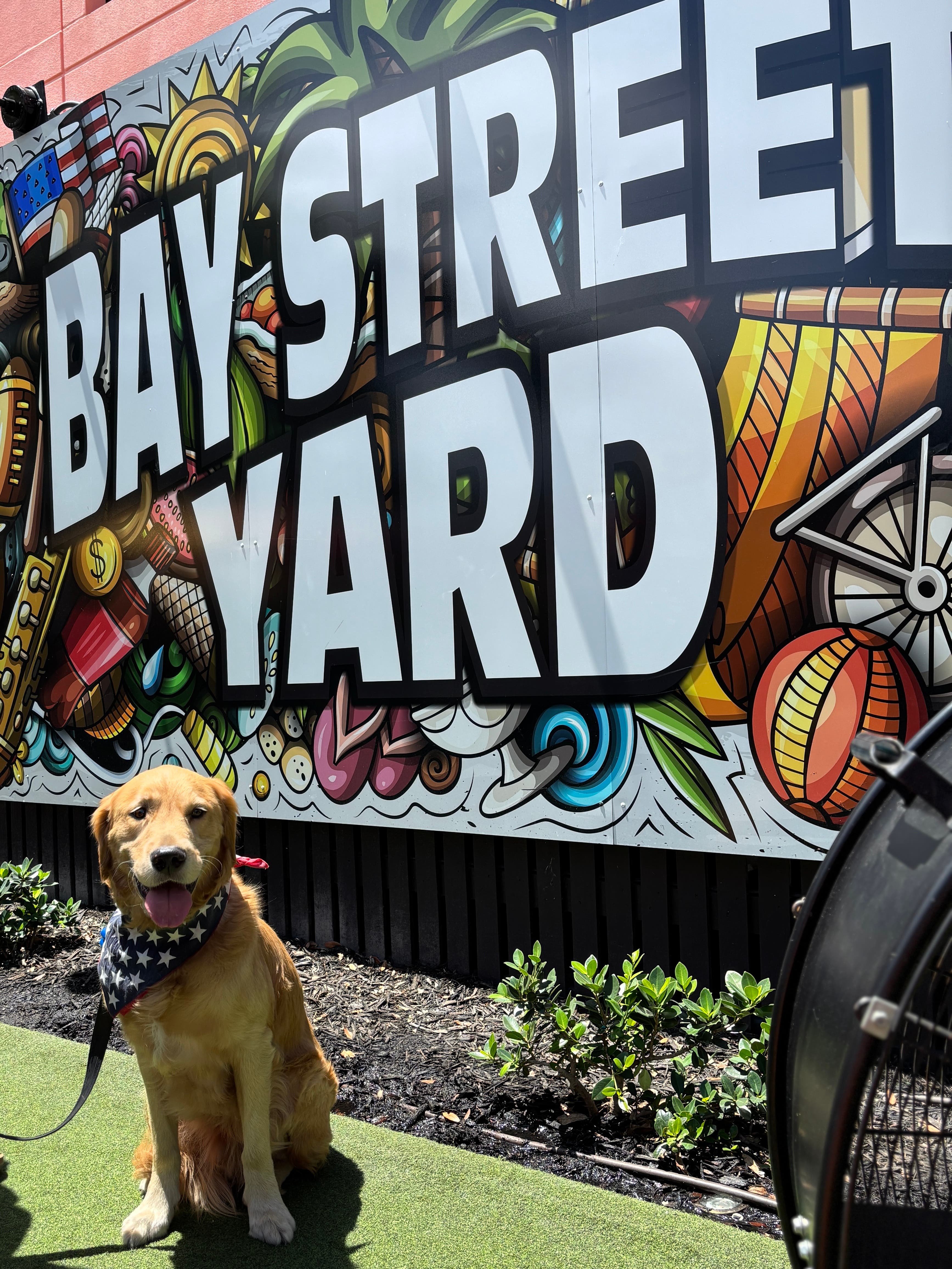 Yappy Hour at Bay Street Yard
