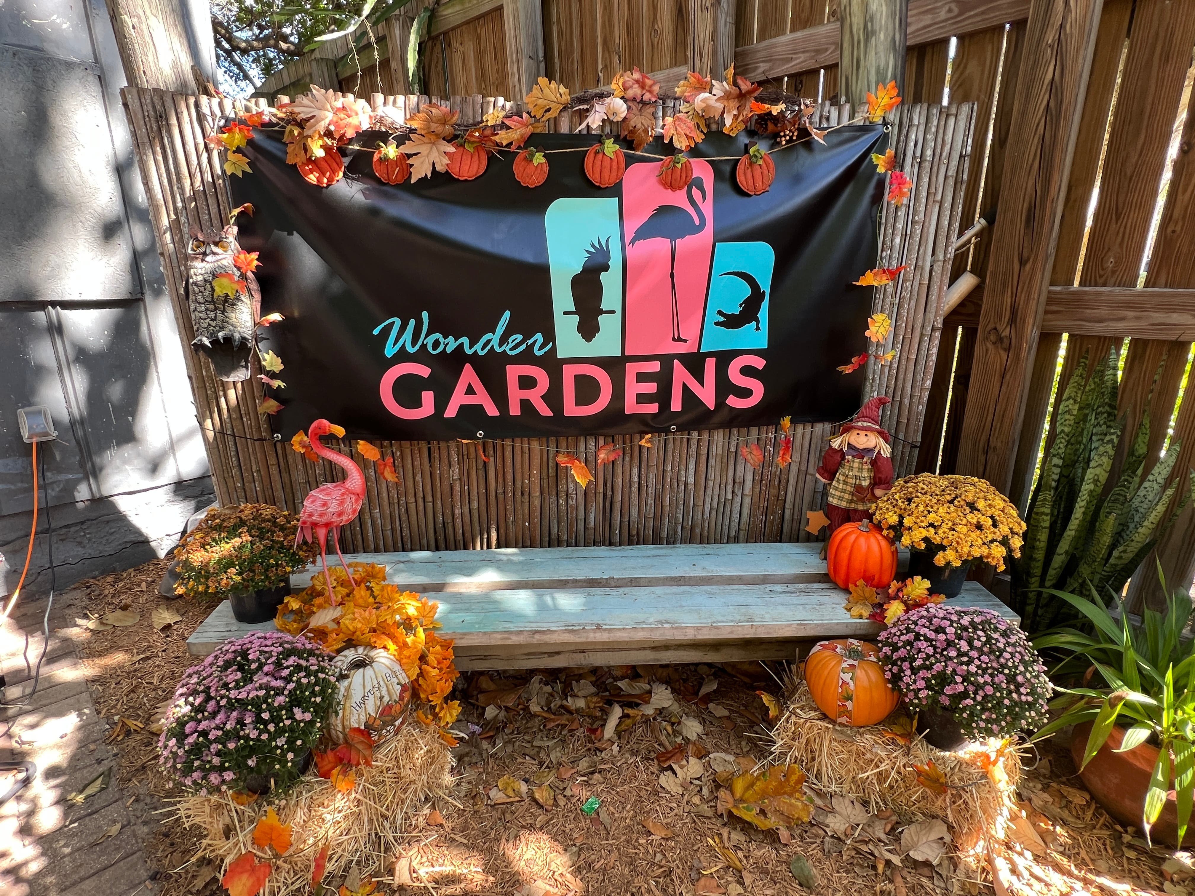 Boo-tanical Evening at the Wonder Gardens
