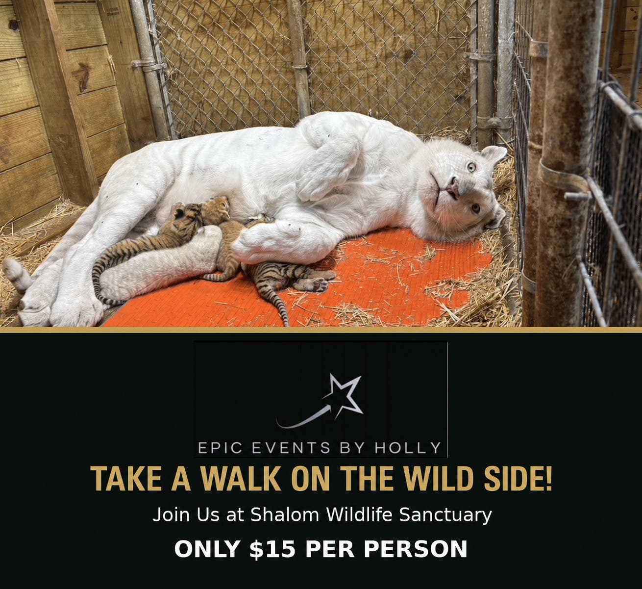 Come Tour Shalom Wildlife Sanctuary For Adults Ages 45+
