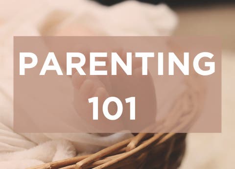 HYBRID - Parenting 101