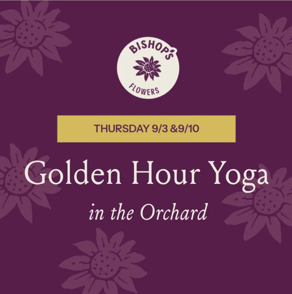 Yoga at Bishops Orchards