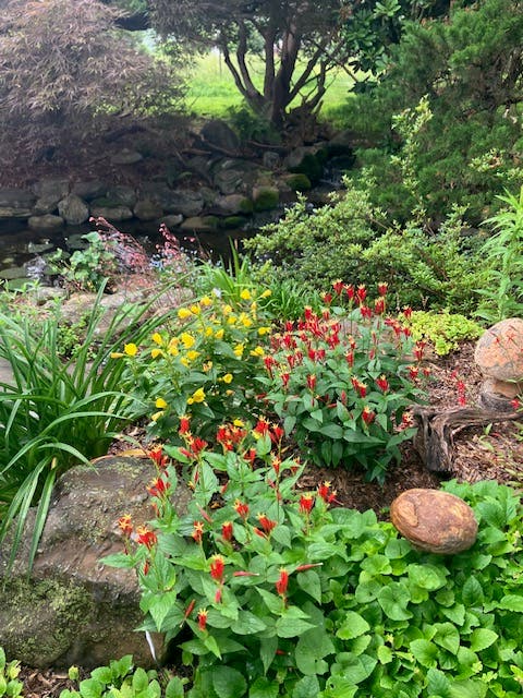 Designed for Nature Garden Tour