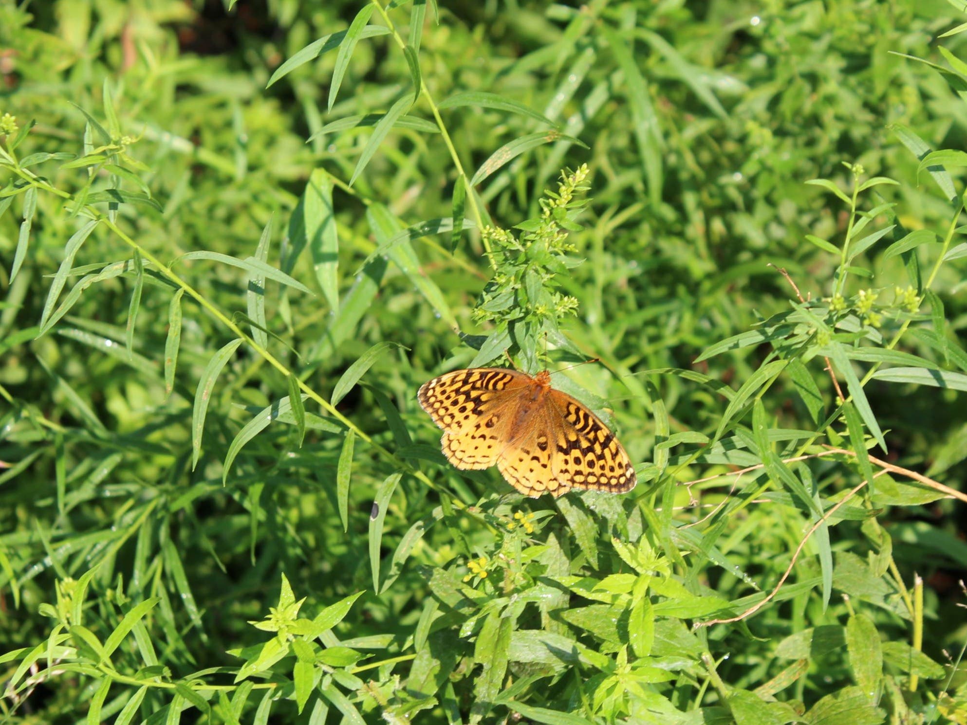 Reflecti﻿ve Prayer at Centering Space (In-Person & Virtual)