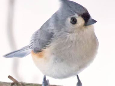 One Way to Look at…Agency