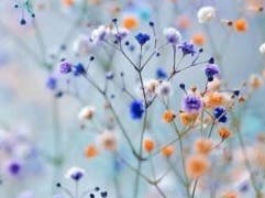 Reflective Prayer at Centering Space