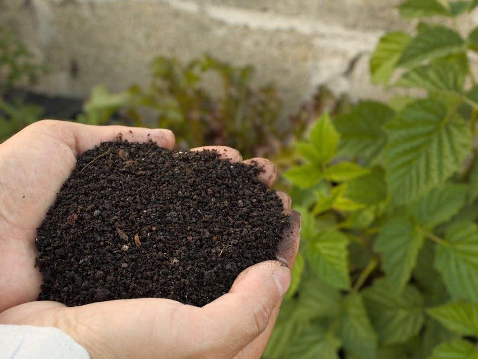Backyard Composting 101: Keep Lakewood Beautiful