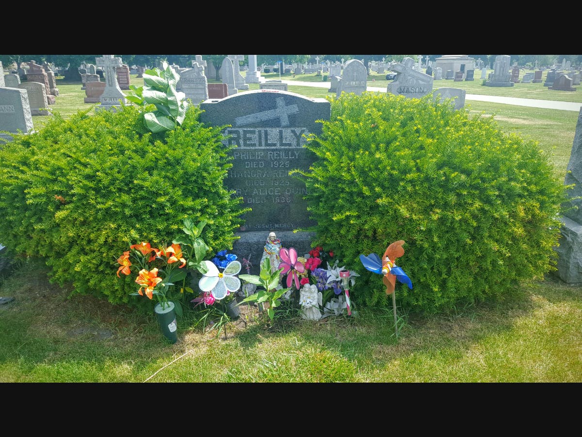 Mary Alice Quinn, the Miracle Child's Grave Site.