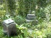 Early 2000s Image of Bachelor's Grove Cemetery before nature was ruined by individuals a short few years back.