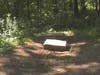 Early 2000s Image of Bachelor's Grove Cemetery before nature was ruined by individuals a short few years back.