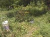 Early 2000s Image of Bachelor's Grove Cemetery before nature was ruined by individuals a short few years back.