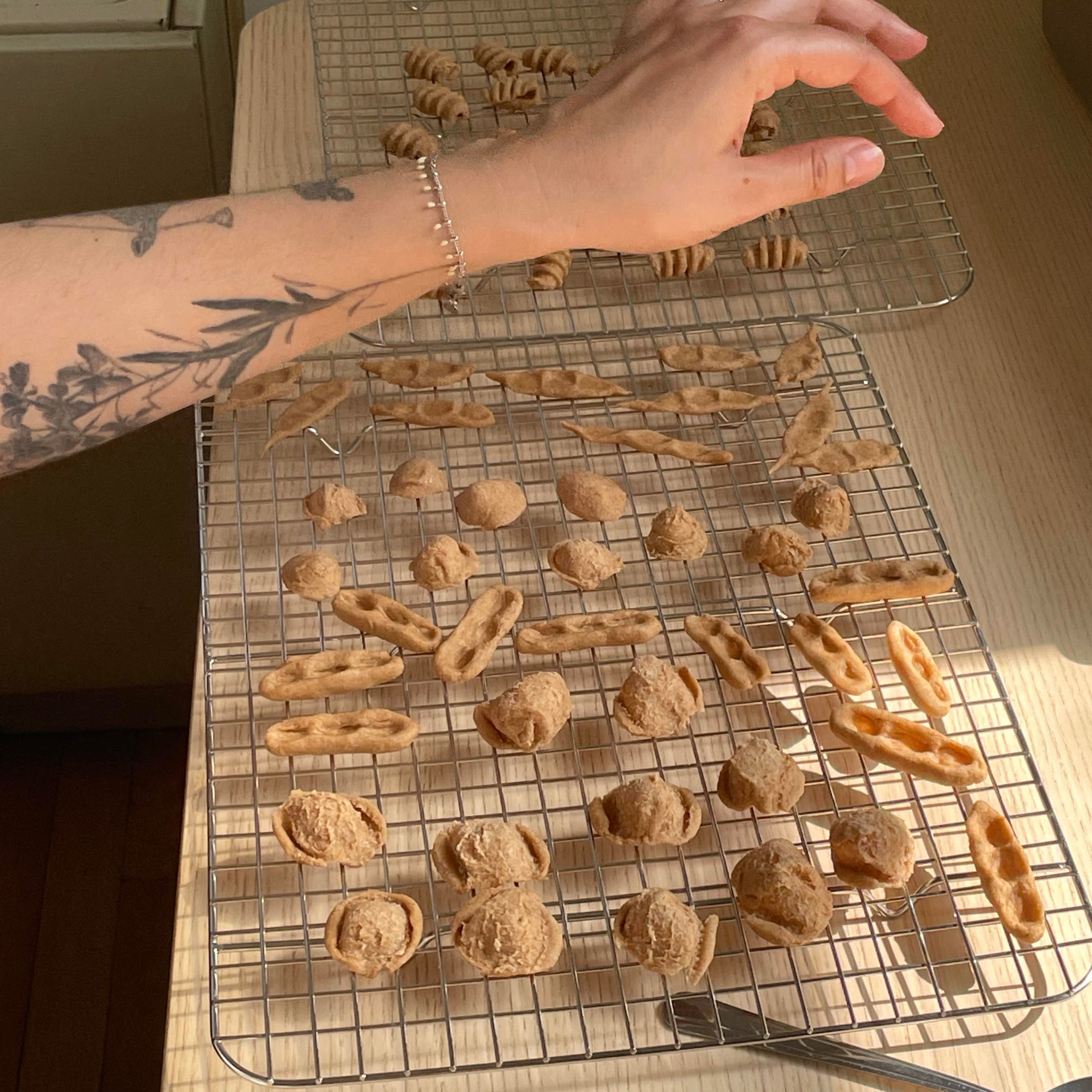 Consuming Cartographies - Bucks County + Optional Farmhouse Tour