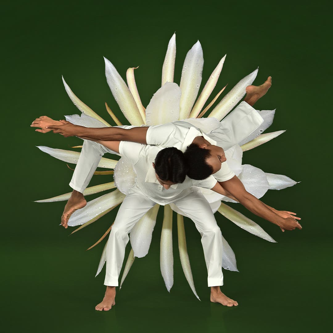 Ballet in Bloom – An Evening at Desert Botanical Garden