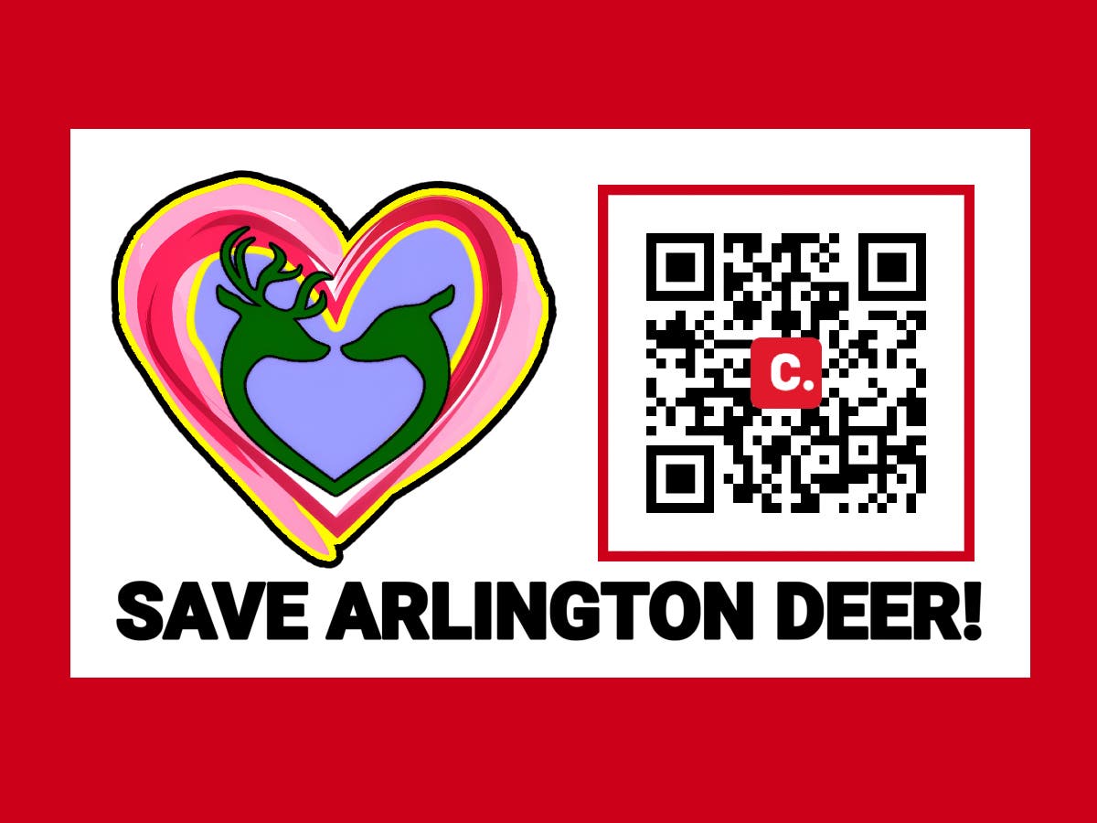 Volunteer to Save Arlington Deer