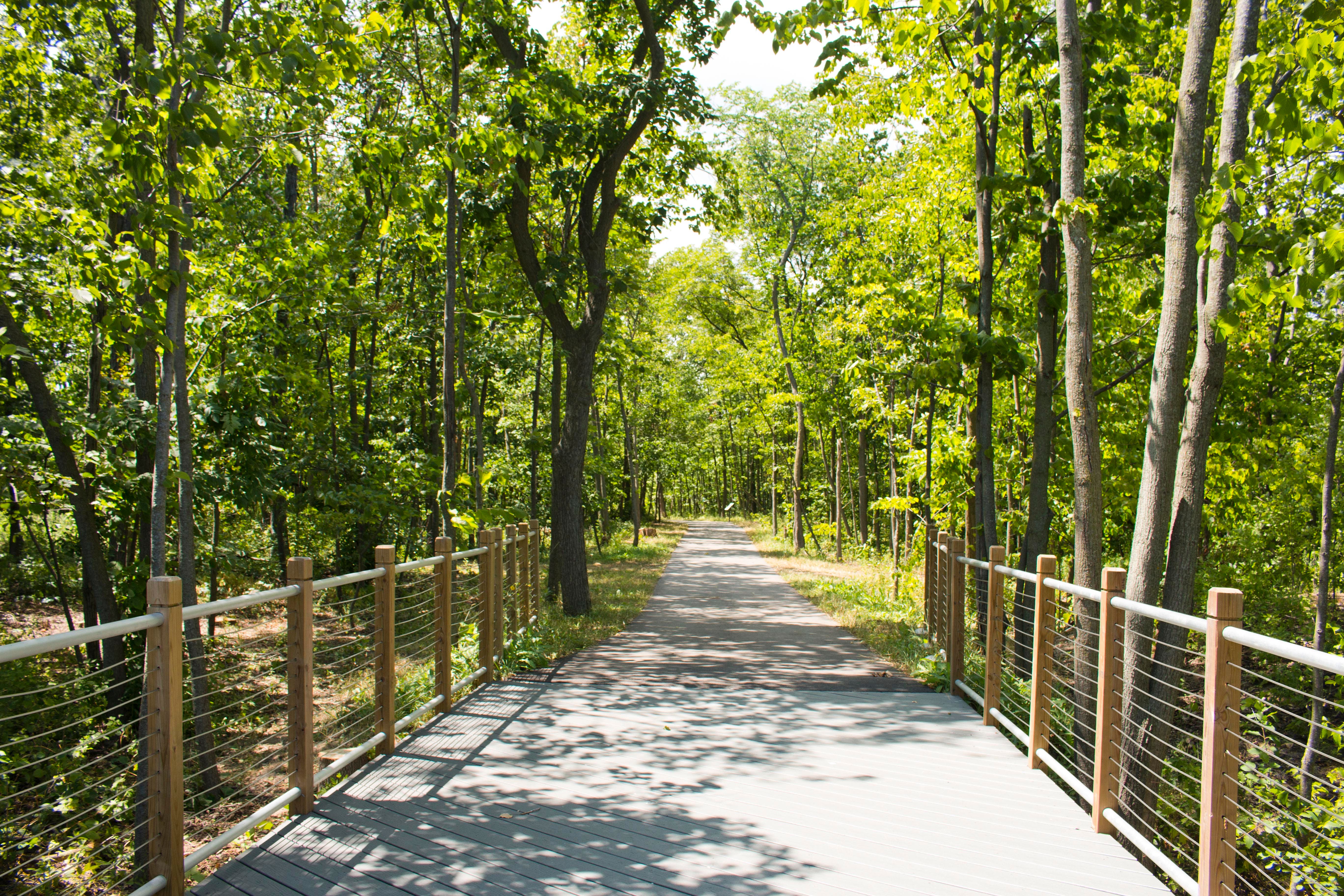 Guided Nature Walk at Emerald Preserve