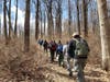 Troop 200 hike Jockey Hollow on the 239th anniversary of the St. Patrick's Day Encampment