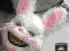 Police said they found the bunny masked Ashley Weaver used to rob a Mansfield Cumberland Farms after arresting her.