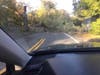 Trees like the one that fell here on Route 6A fell throughout Barnstable as Wednesday storm brought wind gusts of up to 90 mph.