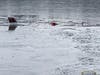 Police said the plane crashed Saturday into the east lake off Lake Street in Halifax.