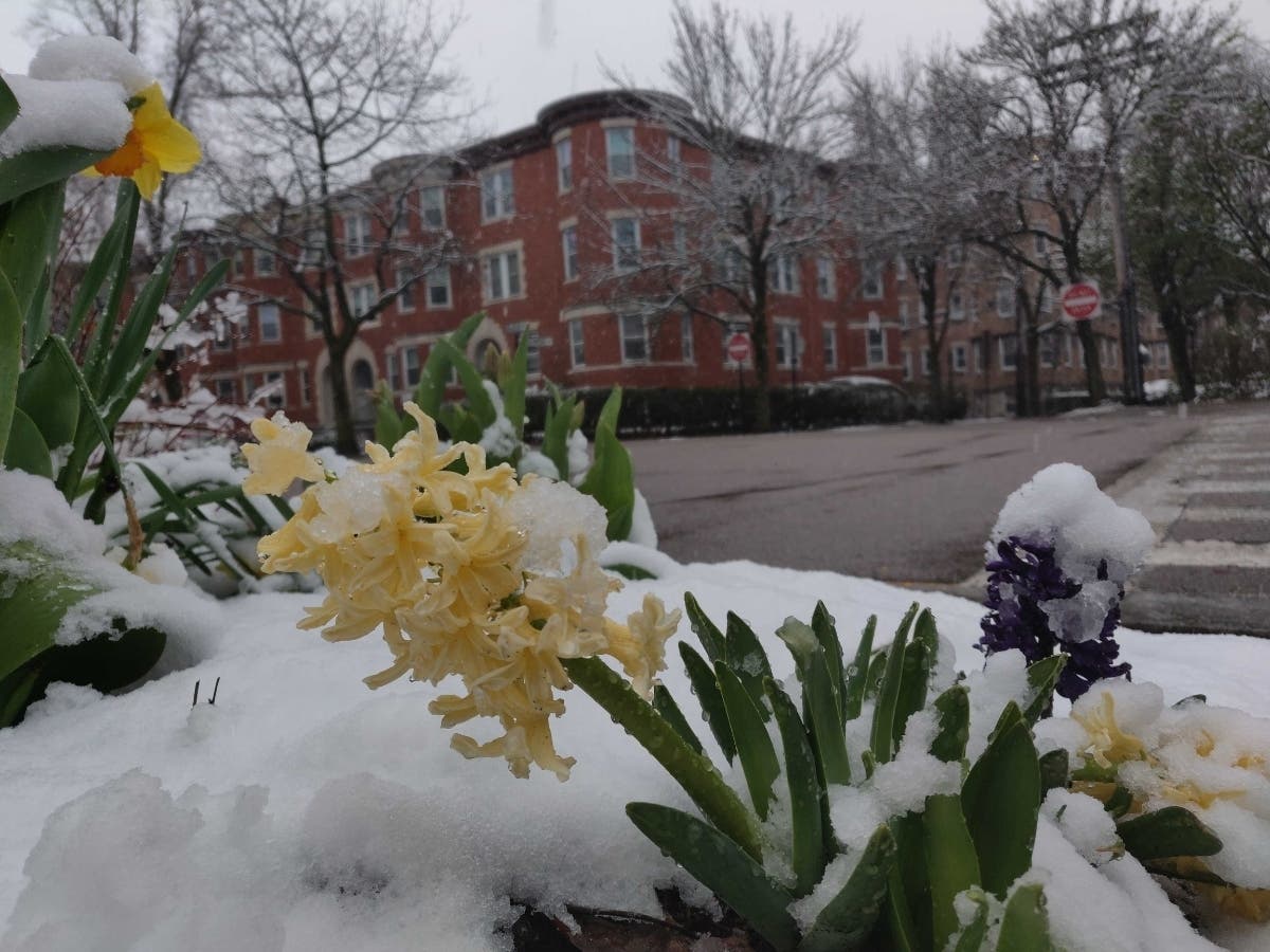 The town with the highest recorded snowfall in the state was Burrillville with 5.5 inches​, exceeding yesterday's forecast of 4 inches for cities and towns north of Providence.