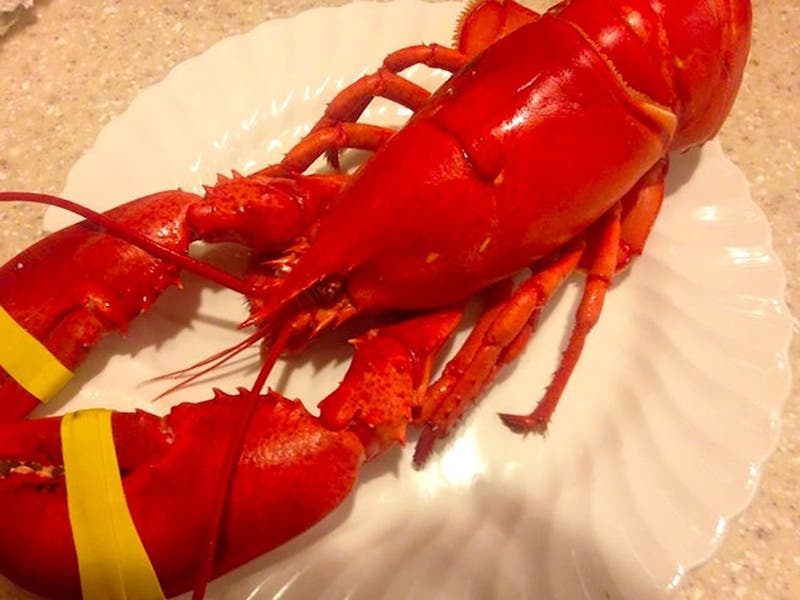 Joseph Vaudo owned the store until a federal court judge last December ordered him to forfeit possession of Superior Lobster and Seafood​ to G-Four LLC, a Sagamore-based commercial rental property business. 