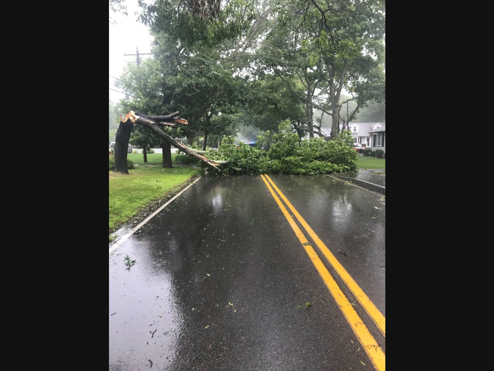 Maravista Avenue, near Toledo Street was closed due to a downed tree Friday, during Tropical Storm Elsa.