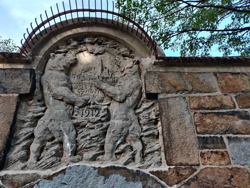 People aren't the only ones affected by COVID-19. Animals like lions, tigers, apes and ferrets are also at high risk for infection, according to officials at the Franklin Park Zoo.
