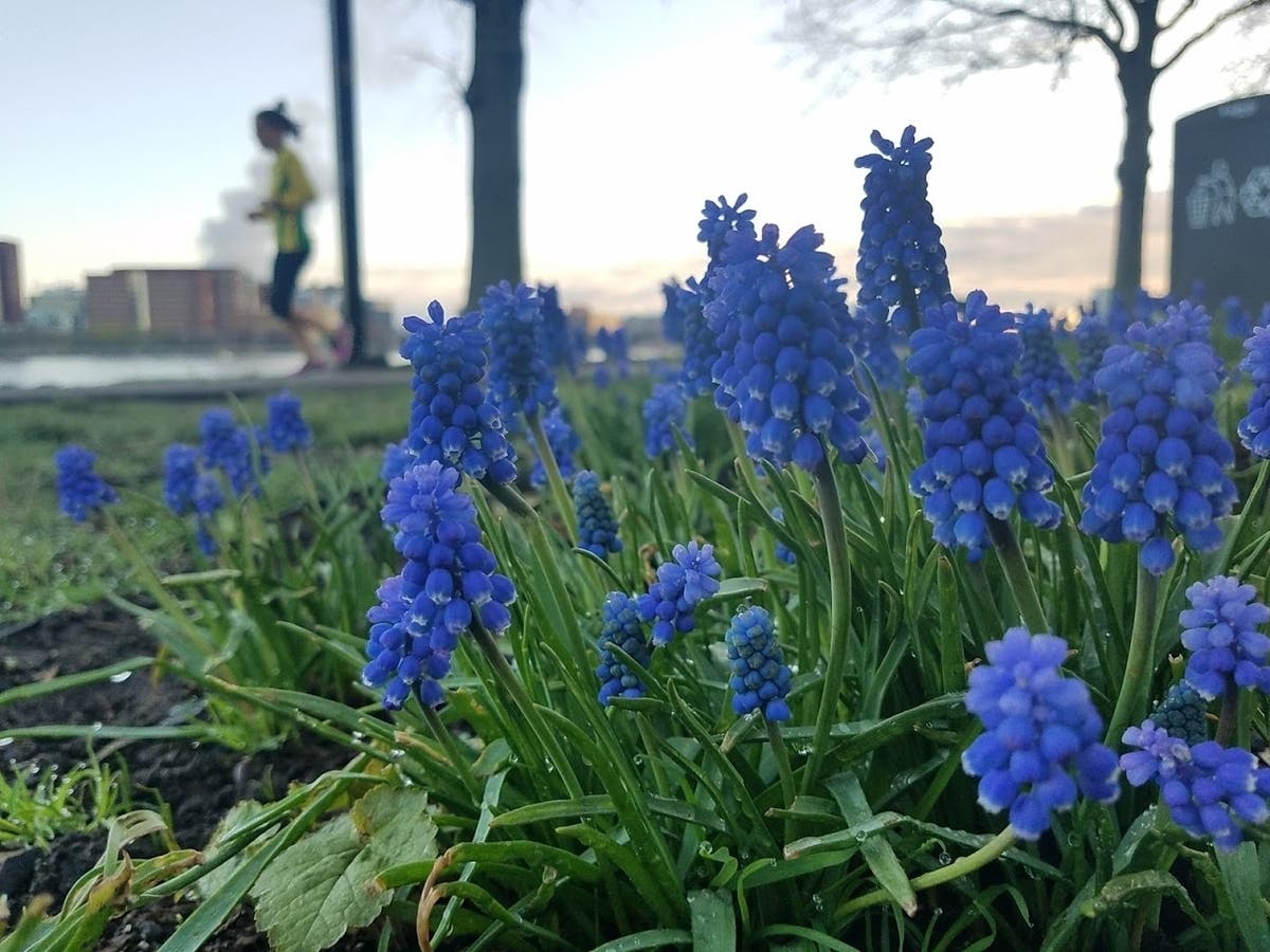 The Old Farmer’s Almanac said in its spring 2022 forecast that warmer-than-normal spring temperatures, except in the desert Southwest and Florida, where temperatures are expected to be slightly below normal this spring.