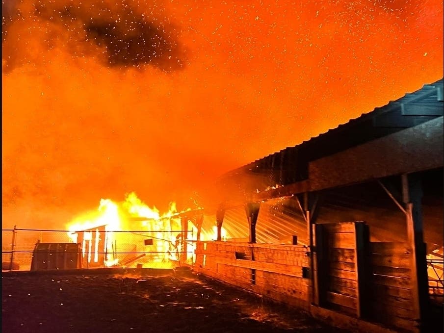 Fire officials said around 11:30 p.m., three fire engines and a ladder truck were called to the Barton Avenue farm and found the barn in flames. 