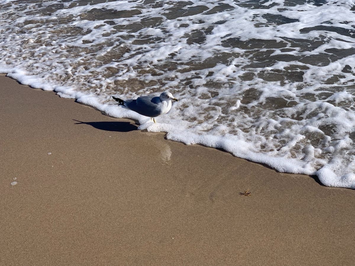 In Rhode Island, Mansion Beach on Block Island was No. 53 on the list. Mansion Beach got its name, because it was originally home to an actual mansion —​ the home of Edward F. Searles, which burned down in the 1960s and was never rebuilt. 