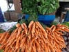 Flushing Greenmarket