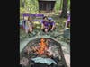 Girl Scouts enjoying a campfire at Camp Seawood.