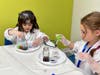 Science Fun