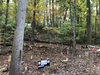 Over 100 native plants & trees planted in the place of invasive plant pachysandra