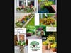 Big Heart Landscaping helps you add color to your yard.