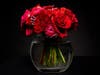 ​Here is one of the beautiful Valentine's Day arrangements that can be ordered via the website: ladyslipperfloral.com, by calling 856-823-3201, or by stopping in, where you can also design your own arrangement.