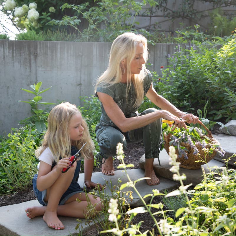 Little Herbalists: Summer Skin Rescue (Family Workshop at The Green School)