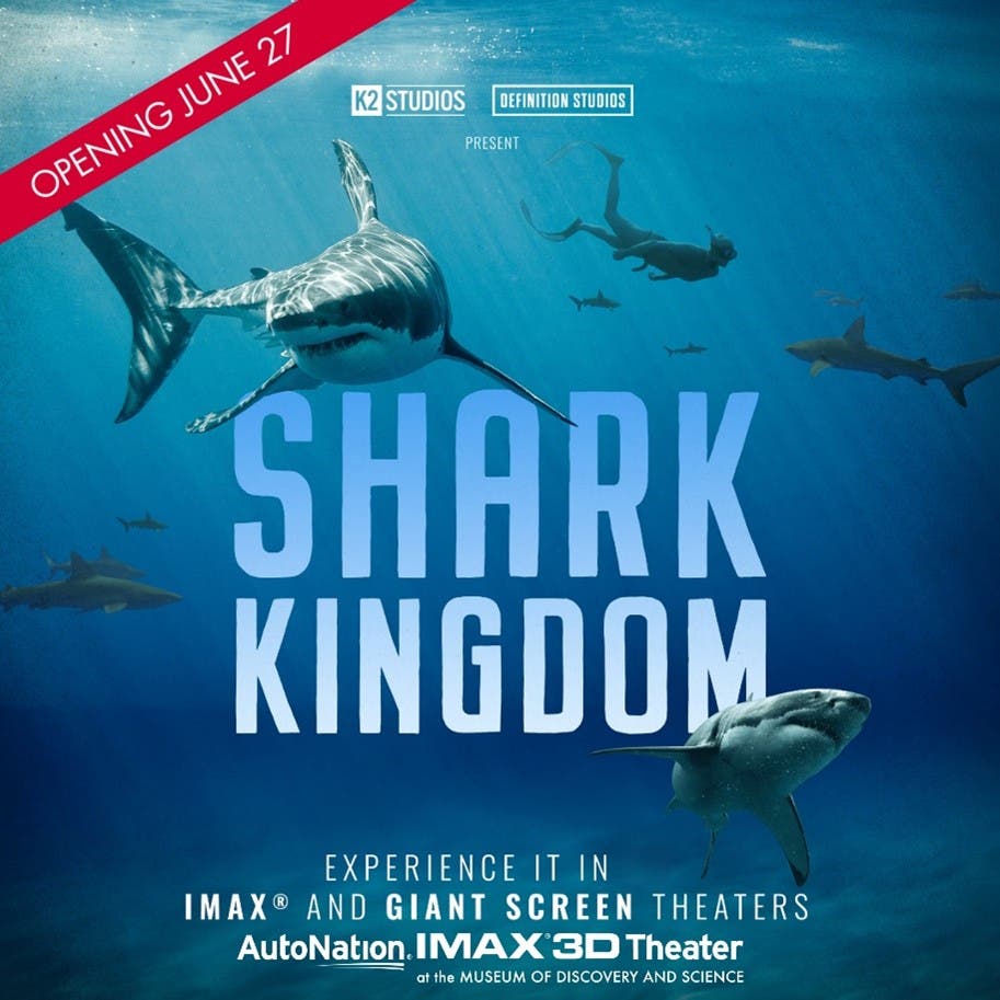 Shark Kingdom at the AutoNation® IMAX® 3D Theater at the Museum of Discovery and Science