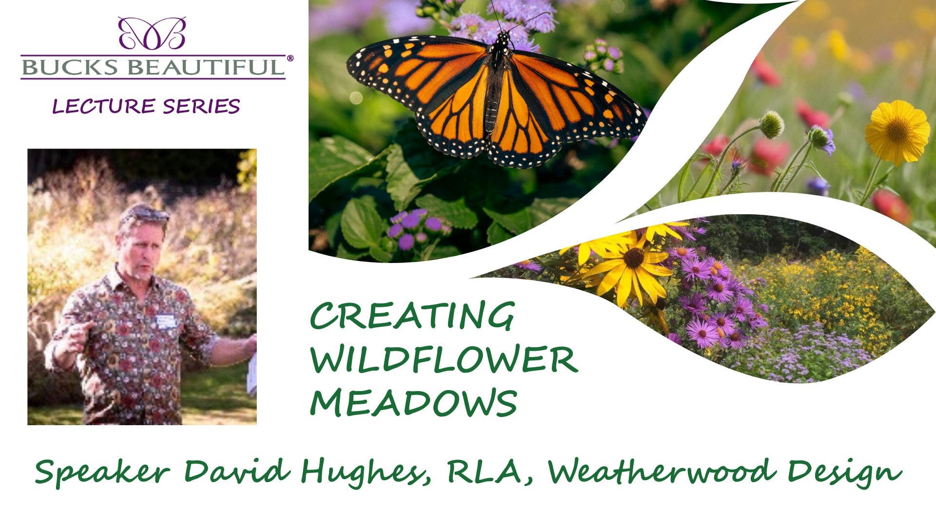 Creating Wildflower Meadows 