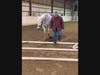 Offered through TRAC (Therapeutic Riding At Centenary), the free six-week program will take place at the Centenary University Equestrian Center in Washington Township.