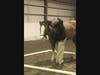 Offered through TRAC (Therapeutic Riding At Centenary), the free six-week program will take place at the Centenary University Equestrian Center in Washington Township.