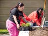 The new garden is a collaboration between the University’s Evergreen Club and Delta Xi Nu Multicultural Sorority, Inc., which has adopted the butterfly as its symbol.
