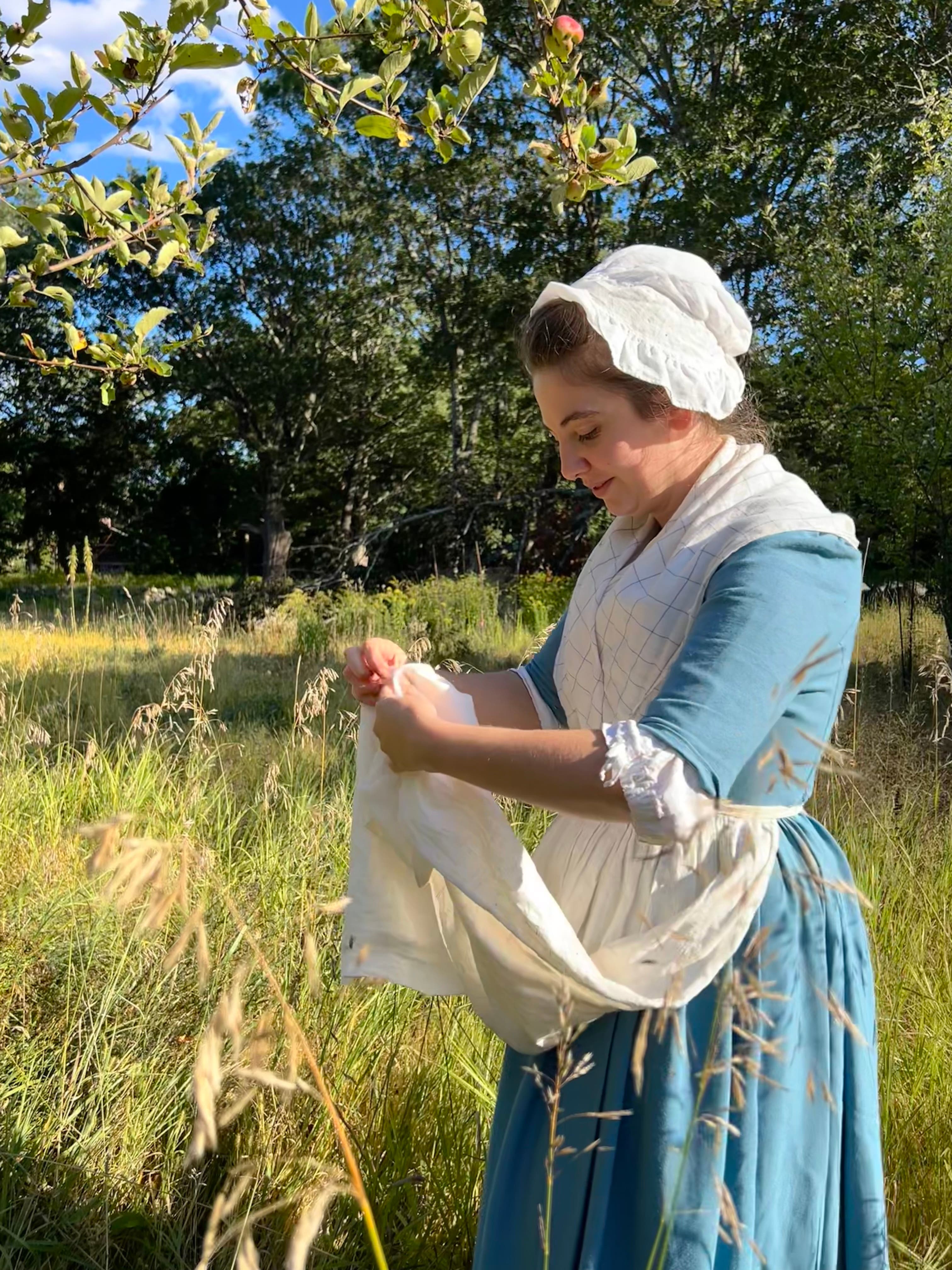 Jane Mecom: Widow Witness to the Revolution