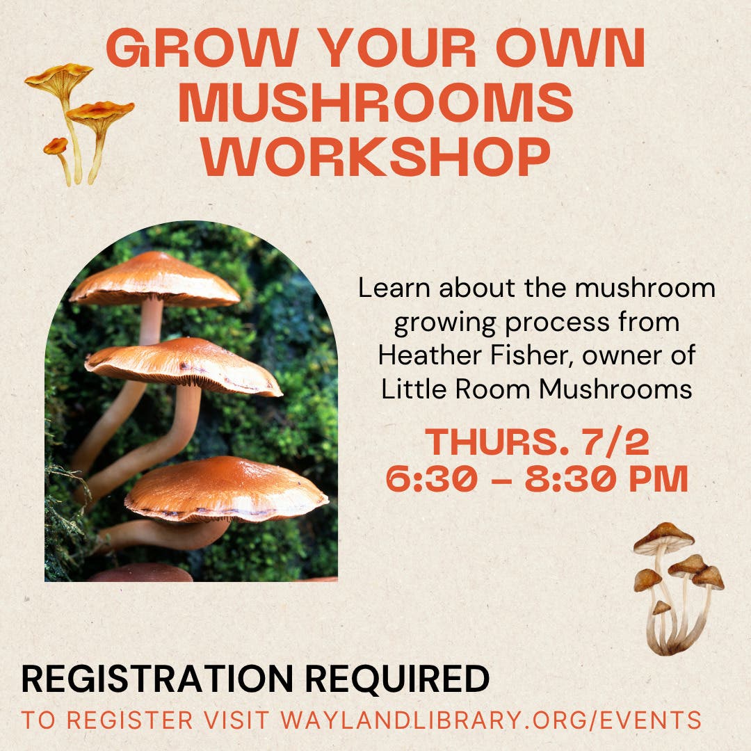 Grow Your Own Mushrooms Workshop