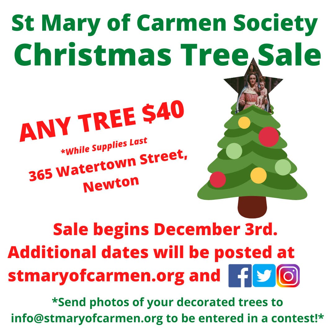 Dec 5 Christmas Trees For Sale Newton MA Patch