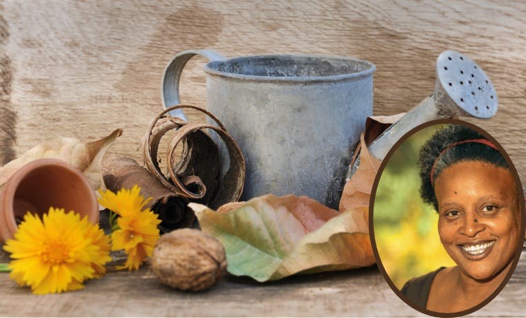 Gardening All Year: Prepping Your Garden for Fall