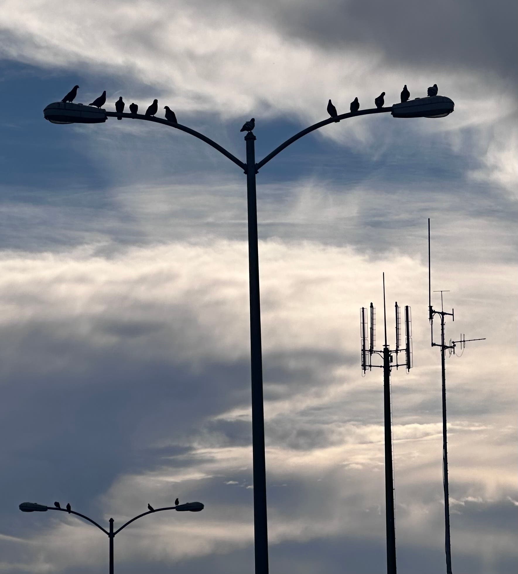 Birds on a tower.