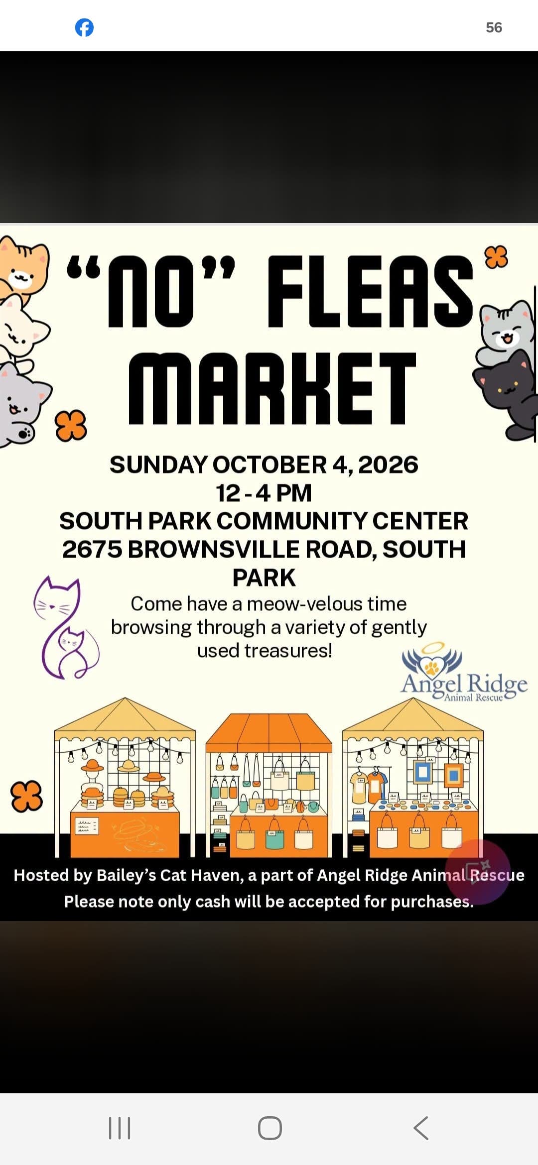 Flea Market- one afternoon only